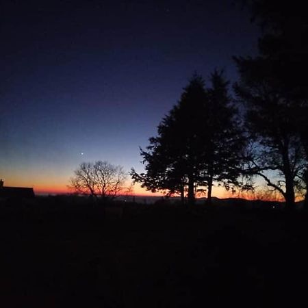 3 Tan Y Coed Villa Brynkir Buitenkant foto